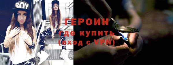 индика Сатка