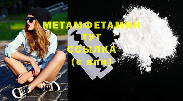 индика Сатка
