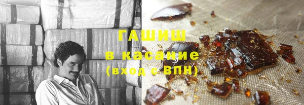 индика Сатка