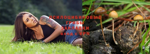 спайс Белокуриха
