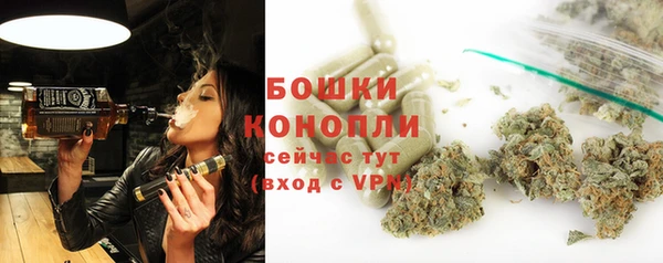 индика Сатка